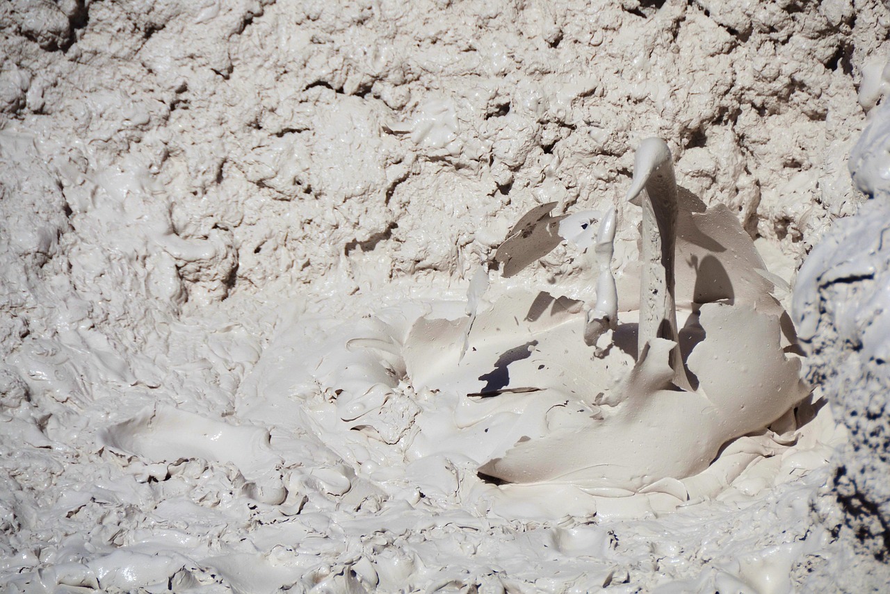 Mudpot, thermal feature, bubble — Are Paid Instagram Followers a Good Investment?