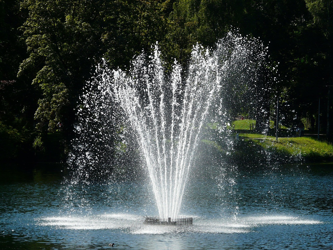 Fountain, nature, water — CZ Casino Myths Busted: Facts vs. Fiction