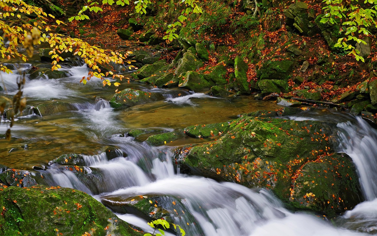Poland, bieszczady, stream hylaty — Reddit Soccer Streams Provide Instant Match Access for Free