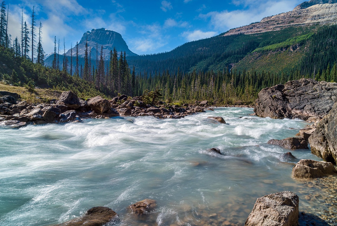 River, trees, mountains — Watch Top National TV Live Sports Coverage Anytime, Anywhere for Free